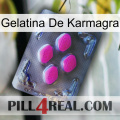 Karmagra Jelly 02